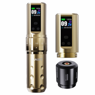 Mast Fold 2 Pro (2 batteries)