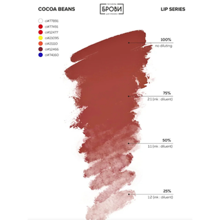 Set "XoXo" Labios Brovi
