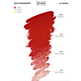 Set "XoXo Básico" Labios Brovi