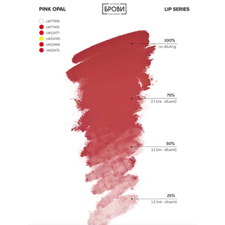 Set "XoXo Básico" Labios Brovi