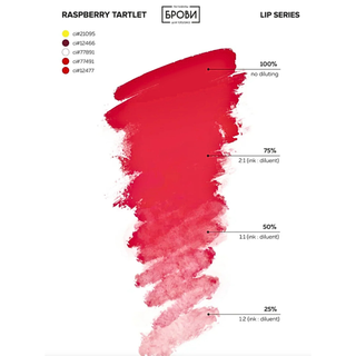 Set "XoXo Bestseller" Labios Brovi