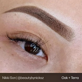 Brow Set - Evenflo USA