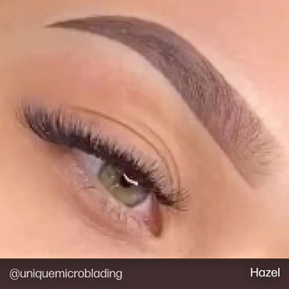 Brow Set - Evenflo USA