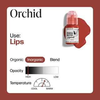 Orchidea