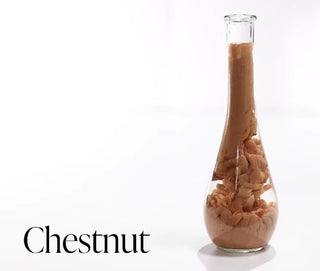 Chesnut v2